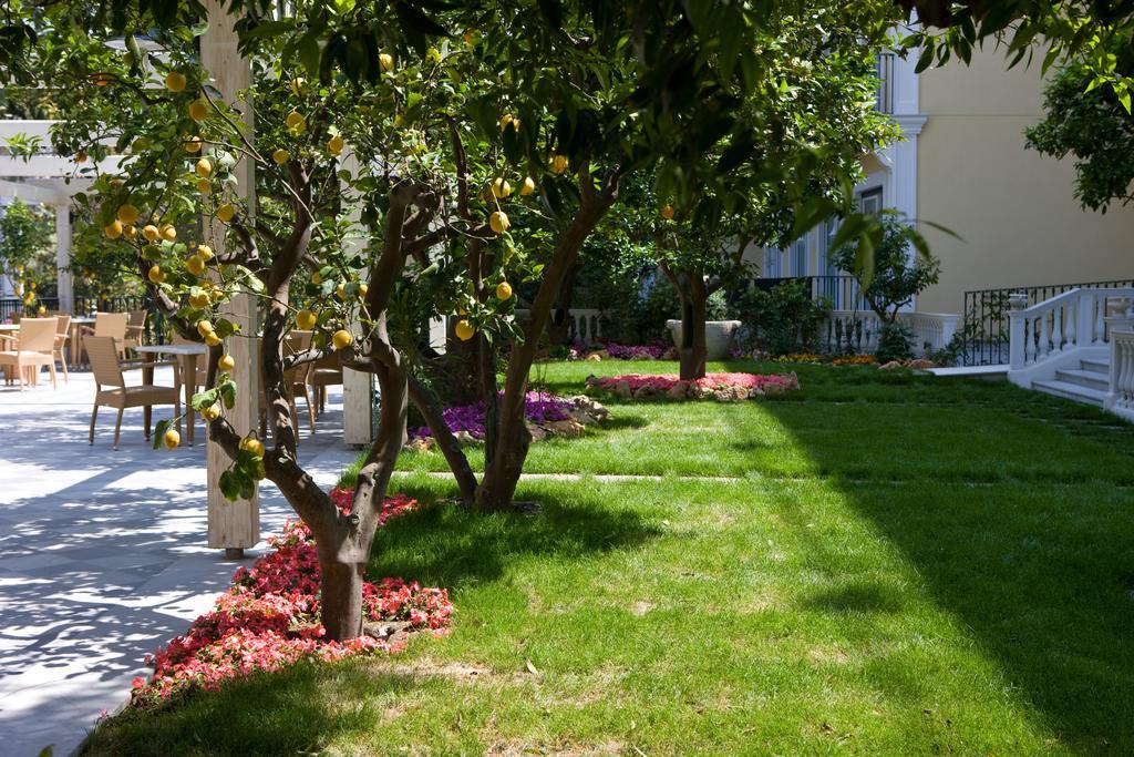 Grand Hotel La Favorita Sorrento Esterno foto The garden of the hotel